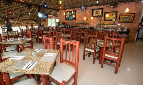 iguana-restaurant--v5970025